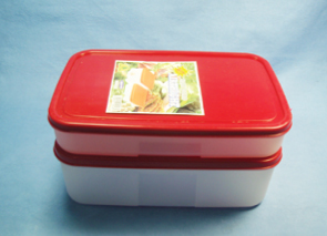 PG-701 Hite Case