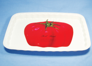 PG-733 Tray without Handle -Tomato